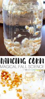 Maybe you would like to learn more about one of these? Magical Dancing Corn Experiment Little Bins For Little Hands