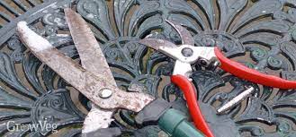 Jun 09, 2021 · professional gardeners sharpen their pruners every six to eight weeks. How To Care For And Sharpen Gardening Tools