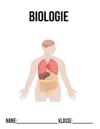 Deckblatt Fur Biologie 5 Klasse Schulbeginn Ersterschultag Einschulung Vorlage Ausdrucken Schule Deckbla In 2020 Bio Deckblatt Biologie Deckblatt