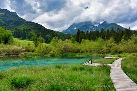 Water comes from the bottom of the lake. Naturreservat Zelenci In Slowenien Die Weltenbummler