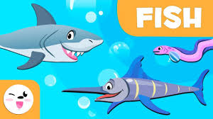 Cut fish shapes out of colored cardstock and lamenate. Fish For Kids Vertebrate Animals Natural Science For Kids Youtube