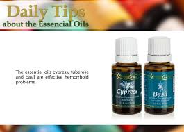 Pin On Young Living Oils