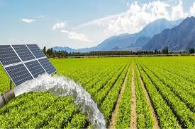 Solar Water Pump for Agriculture