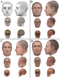 images?q=tbn:ANd9GcSzmZctGru_IRQBpwUMbc4