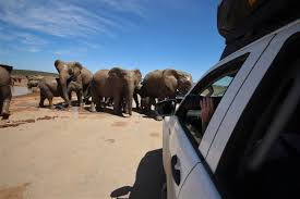 < teeny hot spots 2. Addo Elephants Drama At The Waterhole Travel Africa