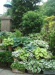 10 Best Shade Garden Ideas For The Backyard That Not Only Looks Beautiful And Ti Schattengarten Hinterhof Garten Garten