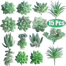| skip to page navigation. Fepito 15 Pcs Artificielles Plantes Succulentes Vert Sans Empotage Faux Fleur Succulentes Mini Artificial Succulents Fake Succulent Plants Planting Succulents