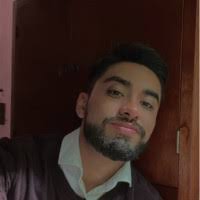 300+ perfiles de «Sandro»