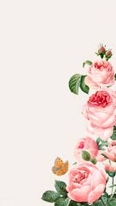 Beautiful blooming flower leaves pink. Hand Drawn Pink Roses Frame On Beige Background Vector Free Image By Rawpixel Com Niwat Rose Frame Flower Drawing Flower Background Wallpaper