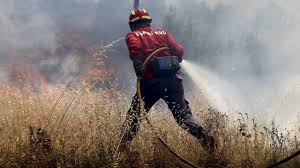 Check spelling or type a new query. Varias Pessoas Retiradas Preventivamente Devido A Fogo Em Castro Marim