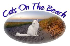 Organizations like the cat fanciers' association (cfa) in the u.s., the governing council of the cat fancy (gccf) in u.k. Cats On The Beach Cat Show A Tica Club
