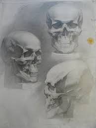 Akademicheskij Risunok Ruki Poisk V Google Risovanie Portretov Risunok Cherepa Anatomicheskij Risunok