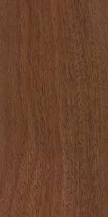 Image result for Khaya