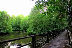 We did not find results for: Malaysia Designates The Kota Kinabalu Wetland As A Ramsar Site Ramsar