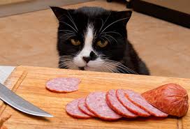 It's made out of pork, so it might seem like a good idea to share it with your carnivorous pet. People Foods Your Cat Can Eat Pictures
