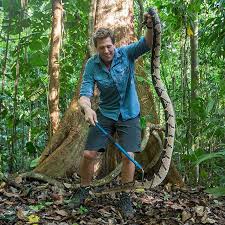 More Than 125000 People Die Each Year As A Result Of Venomous Snake Bites Therefore Today And Tomorrow The Snakebite Conference Take Leiden Today Snake Venom