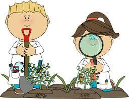 Building Your Outdoor Classroom Science For Kids Science Images Science Art