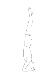 It is also called headstand pose which is one of the most important yoga poses. Top 10 Best Health Benefits Of Sirsasana Headstand Yoga Pose