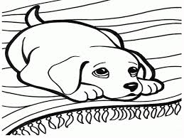 The pup with a large face puppy. Cute Puppy Coloring Pages