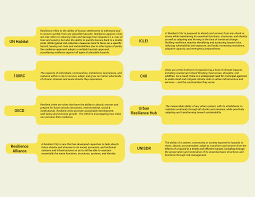 Divergent Definitions Embracing A Holistic Understanding Of Urban Resilience