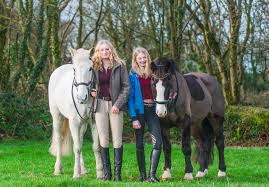 Hancock started his career with donald byrd. Pin By Heinz On My Photoshoots In 2020 Welsh Pony Horses Pony