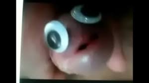 Finding Nemo - XNXX.COM
