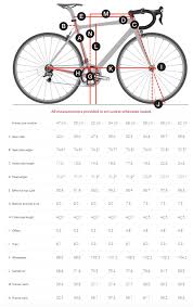 bike size advice bianchi vs cannondale bicycles stack exchange