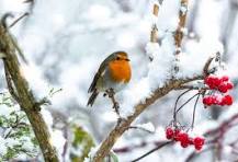 Uk Winter Scene Images – Browse 9,971 Stock Photos, Vectors ...