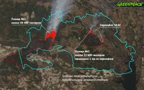 Vor 1 tag · guerra in ucraina. Le Fiamme Degli Incendi A 1 Km Dalla Centrale Nucleare Di Chernobyl Greenreport Economia Ecologica E Sviluppo Sostenibile