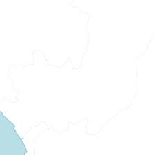 Image result for Acanthus mayaccanus