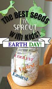 Seed Germination For Kids The Results Seed Germination For Kids Science For Kids Earth Day Activities