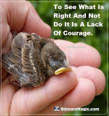 Top 20 Inspirational Quotes For Modern Living Acne Body Wash Skin Care Acne Face Acne