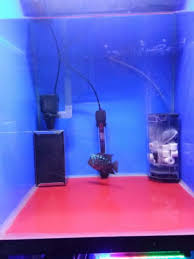 Kali ini saya akan berbagi pengalaman pribadi saya dalam menggeluti hobi aquascape. Filter Aquarium Tanpa Kuras Uk Kecil Bahan Stainless Steel Belum Termasuk Mesin Aquarium Shopee Indonesia