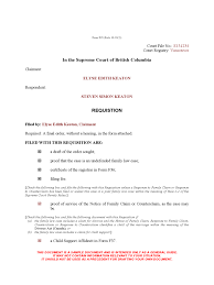 State of minnesota district court judicial. Divorce Decree Form 22 Free Templates In Pdf Word Excel Download