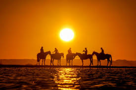 Tourism in Rocha. Tourist information about Rocha, Uruguay