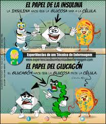 Insulina Y Glucagon Bioquimica Biologia Celular Insulina
