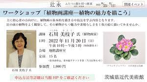 11/20(日) 「植物画講座－植物の魅力を描こう」 | 茨城県近代美術館 | The Museum of Modern Art, Ibaraki