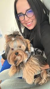 Understanding Yorkies' Intelligence and Love