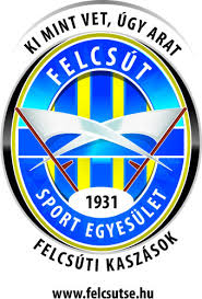 Puskás akadémia football club, commonly known as puskás akadémia, is a football club based in felcsút, hungary, that competes in the nemzeti bajnokság i, the top flight of hungarian football. Felcsut Puskas Akademia Fc Ii Tortenet Adatok Csapatok Magyarfutball Hu