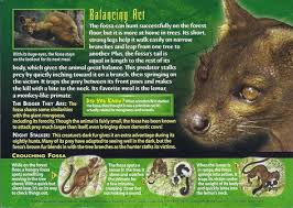 Pin By Emma On Weird And Wild Creatures Nightmares Of Nature Wild Creatures Strong Legs Creatures