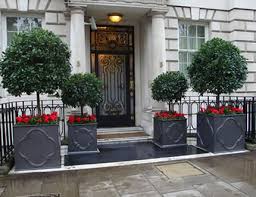 Brighten up your home with quality house plants at homebase. Outdoor Plant Displays Covent Garden Plants