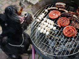Grillen Auf Dem Balkon Und Im Garten Was Erlaubt Und Was Verboten Ist Rechtslage Wohnen