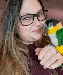 Experienced Veterinarians