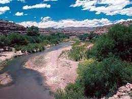 We did not find results for: Gila Box Riparian National Conservation Area Wikipedia