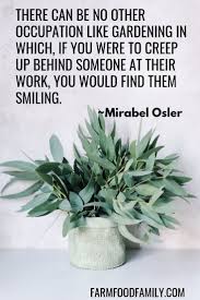 16 Quotes For Houseplant Lovers Indoor Gardening Farmfoodfamily House Plants Organic Furniture Indoor