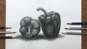Maybe you would like to learn more about one of these? How To Draw And Shade A Capsicum Bell Pepper Drawing Pencil Sketch Step By Step Youtube