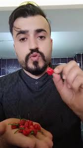 Red Savina Biberi: 500 Bin SHU Değeri ile Acı Bir Deneyim