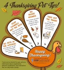Check spelling or type a new query. Four Thanksgiving Pet Safety Tips Back Bay Veterinary Hospital