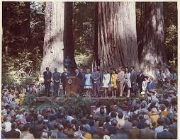 Check spelling or type a new query. The Tale Of An Oval Office Redwoods Deal Save The Redwoods League