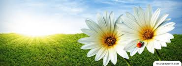 Facebook covers are the images placed behind your profile image.with the introduction of cover picture besides a profile picture, facebook has given us more ways to express ourselves graphically on social network. Summer Covers For Facebook Fbcoverlover Com